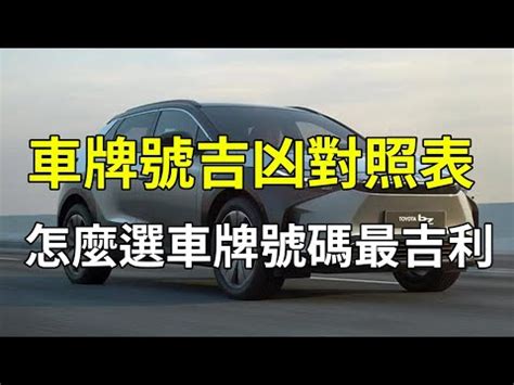 車牌加總